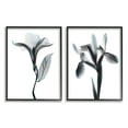 thumbnail image 2 of Stupell Industries Opaque Oleander Silhouette Minimal Nautical Floral Design by Albert Koetsier, 2 of 5