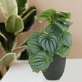thumbnail image 4 of GOOHOCHY Plantas artificiales de interior con hojas de sandía realistas., 4 of 8