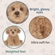 thumbnail image 5 of Labradoodle Small Plush Puppy, Dog Stuffed Animal, 7.8 inch, 5 of 5