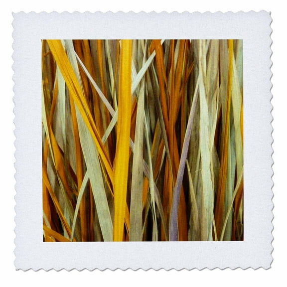 3dRose, Golden Straw, 6x6 inch quilt square