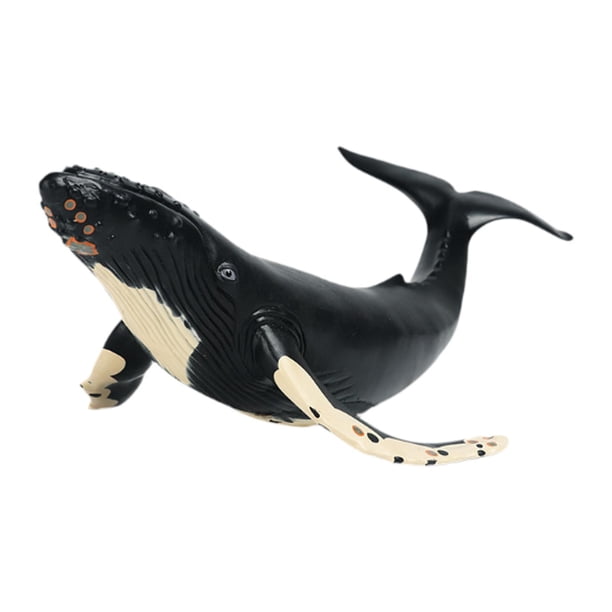 Modelo de figura de acción Baoblaze Juguete de Animal marino 36x15x11cm