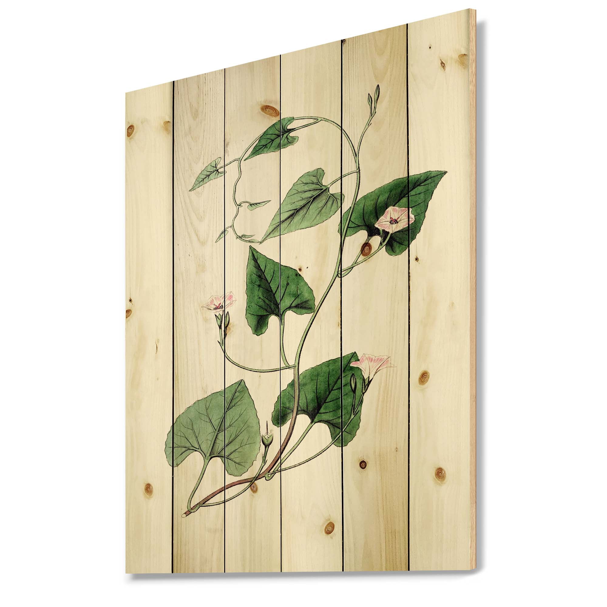 Designart 'Ancient Green Leaves Plants IX' Traditional Print on Natural Pine Wood
