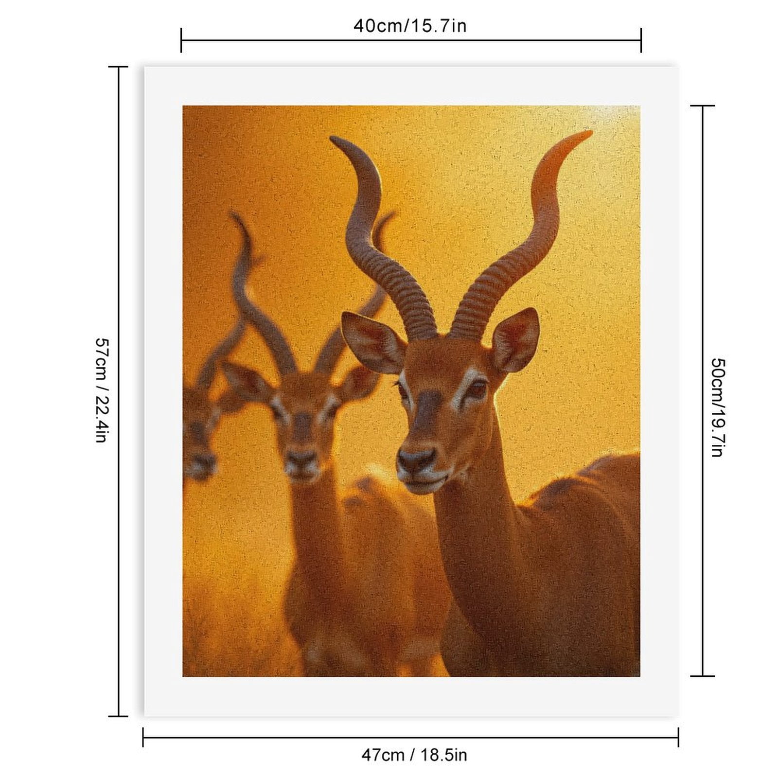 Paint by Numbers Kit for Adults, Majestic Antelope Sunrise Scene Paint by Numbers, Easy Paint by Numbers Kit for Adults Beginner, DIY Adult Paint by Number Kits on Canvas, Home Decor