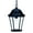 Matte Black, variant on 14 x 9.5 x 9.5 in. Richmond 1-Light Burled Walnut Hanging Light
