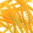 thumbnail image 4 of Hytrove 50Ud Falsas Para Y Manualidades Resistente Y Fácil De Limpiar, 4 of 6