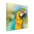 thumbnail image 2 of Ben Heine 'Thailand 367' Canvas Art, 2 of 3