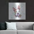 thumbnail image 6 of Luxe Metal Art 'Colorful Watercolor Boston Terrier' by Furbaby Affiliates, Metal Wall Art, 36"x36", 6 of 9