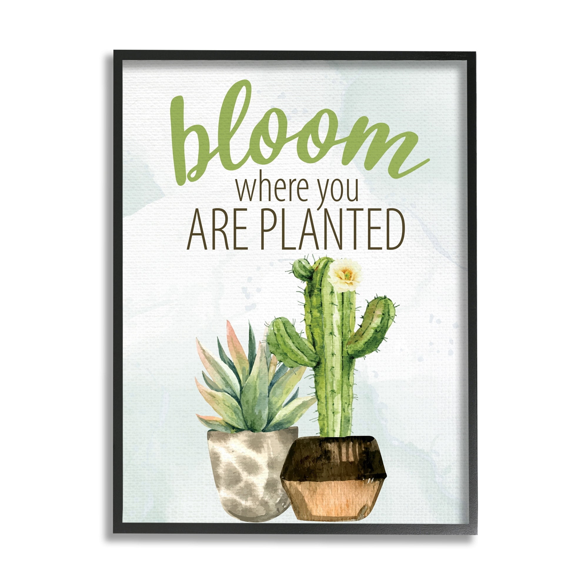 Stupell Industries Bloom Where You Are Planted Cactus Succulent Graphic Art Gray Framed Art Print Wall Art, Design by Kim Allen