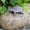 C, variant on Resin Stone Key Holder Camouflage - Outdoor Hiding Key Box - Garden Storage for Spare Keys - Weatherproof Hidden Key Case - Secure Key Hider for Home Yard Courtyard - Fake Rock Key Safe - 1 Pack