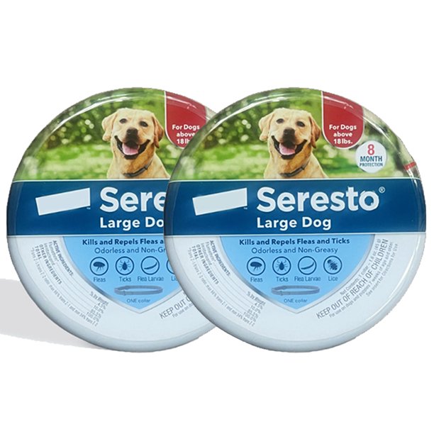 2 Pack F𝗅ea and T𝗂ck Collar for Large Dogs, 8Month Collar for Large