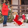 thumbnail image 4 of Chef Santa Claus Dog Costume, Cozy Dog Christmas Outfit, Santa Rider Pet Christmas Costume, Birthday Christmas Gift for Dog Lover Christmas Party, L, 4 of 6