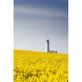 thumbnail image 2 of Posterazzi DPI1832028LARGE Field of Yellow Flowers Lighthouse Poster Print, Large - 22 x 34, 2 of 4