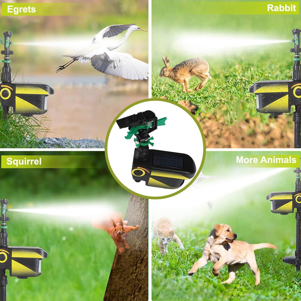 Motion Activated Sprinkler Animal Deterrent for Cat, Dog, Bird & Deer - Solar Powered Motion Sprinkler with 1000 Sq. Ft Coverage - Automatic Garden Protection for Yard, Lawn & Farmland