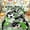 Green, variant on Erosebridal Green Splatter Soccer Twin Comforter Sets, Cartoon Honeycomb Bedding Set for Boys and Girls, 2pcs