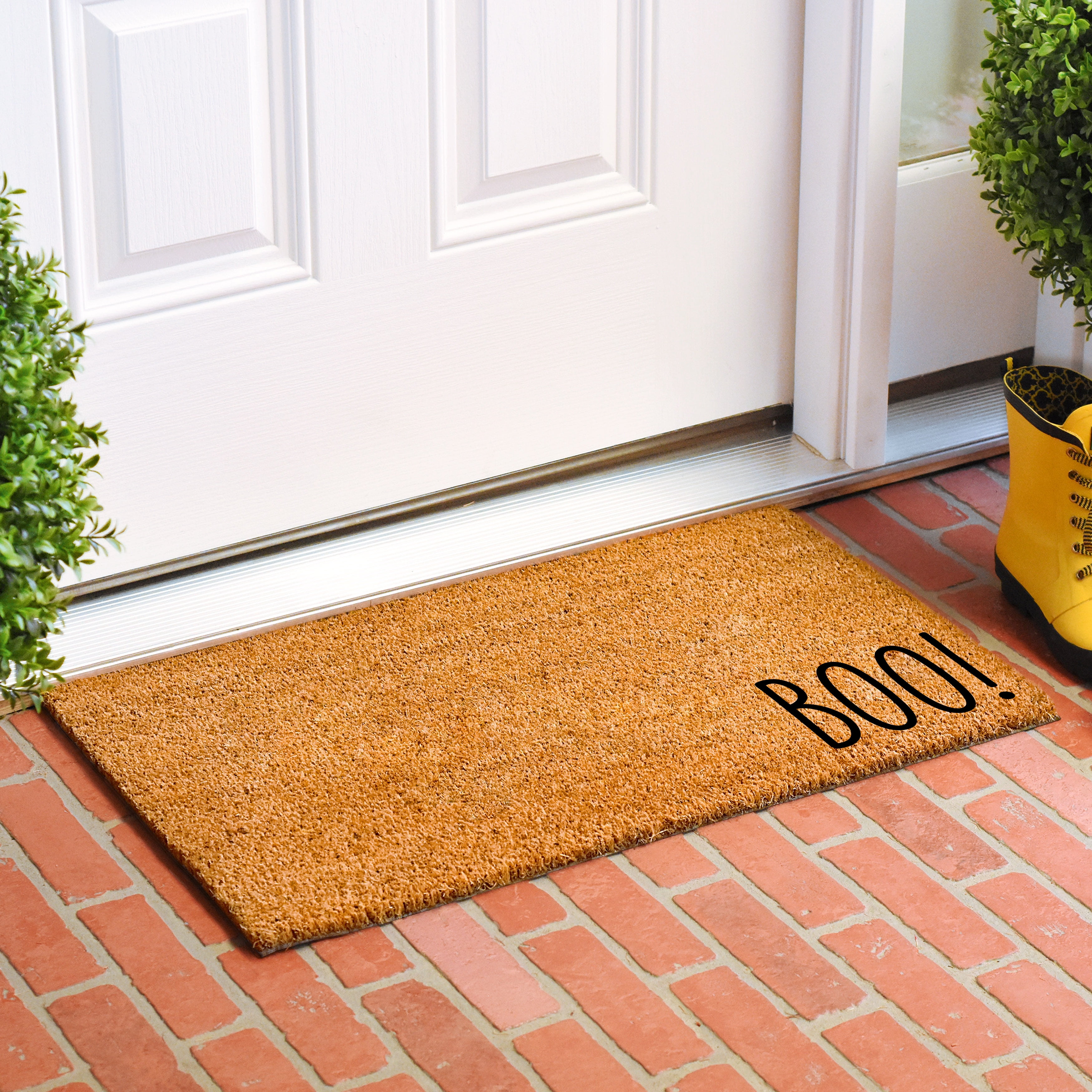 Calloway Mills 111871729 Boo Doormat 17" x 29"