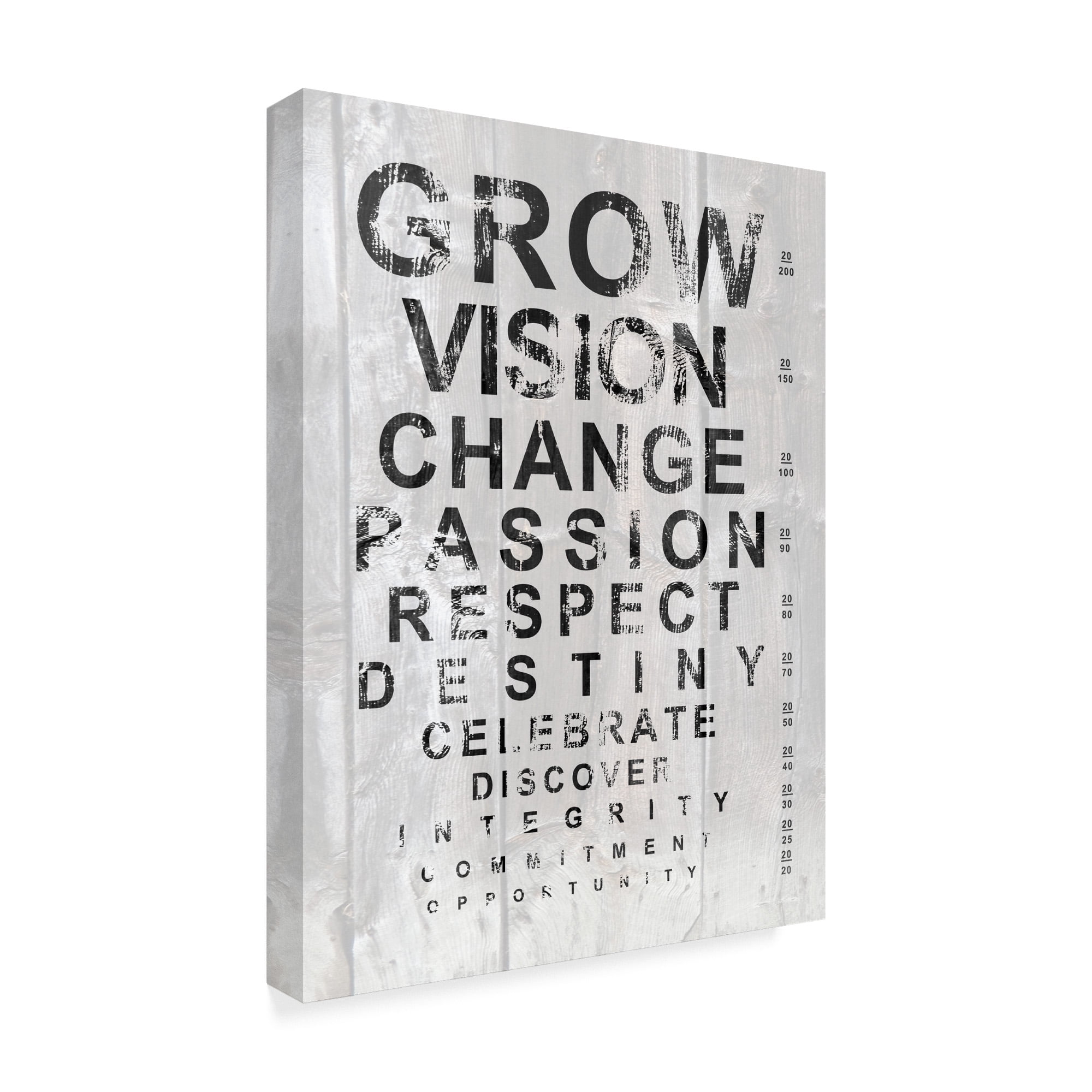 Trademark Fine Art 'Eye Chart II' Canvas Art by Andrea James