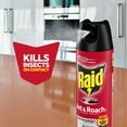 thumbnail image 3 of Raid Ant & Roach Killer 26, Outdoor Fresh Scent, 20 oz, 3 of 12