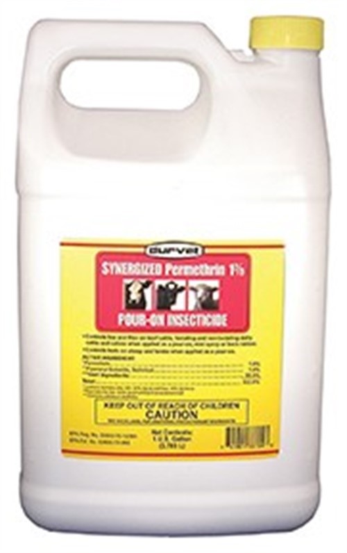 Tomcat Scorpion Glue Board