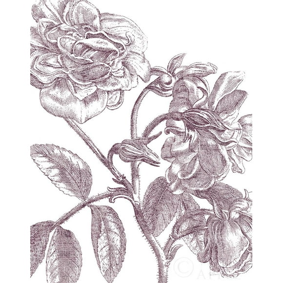 Belle Fleur I Plum Crop Poster Print by Sue Schlabach (18 x 24) # 59359
