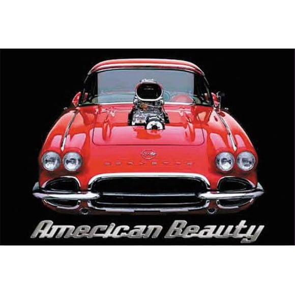 Hot Stuff 2307-24x36-CB American Beauty Poster