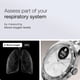 thumbnail image 5 of Reloj Inteligente de Salud Withings ScanWatch Nova ECG SPO2 Temperatura, 5 of 6