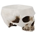 thumbnail image 2 of LAFGUR Resin Skull-Shaped Flower Pot Succulent Planter Container Ornament ND, 2 of 8
