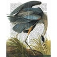 thumbnail image 2 of Fab Funky 26x32 White Modern Wood Framed Museum Art Print Titled - Blue Heron 1, 2 of 4
