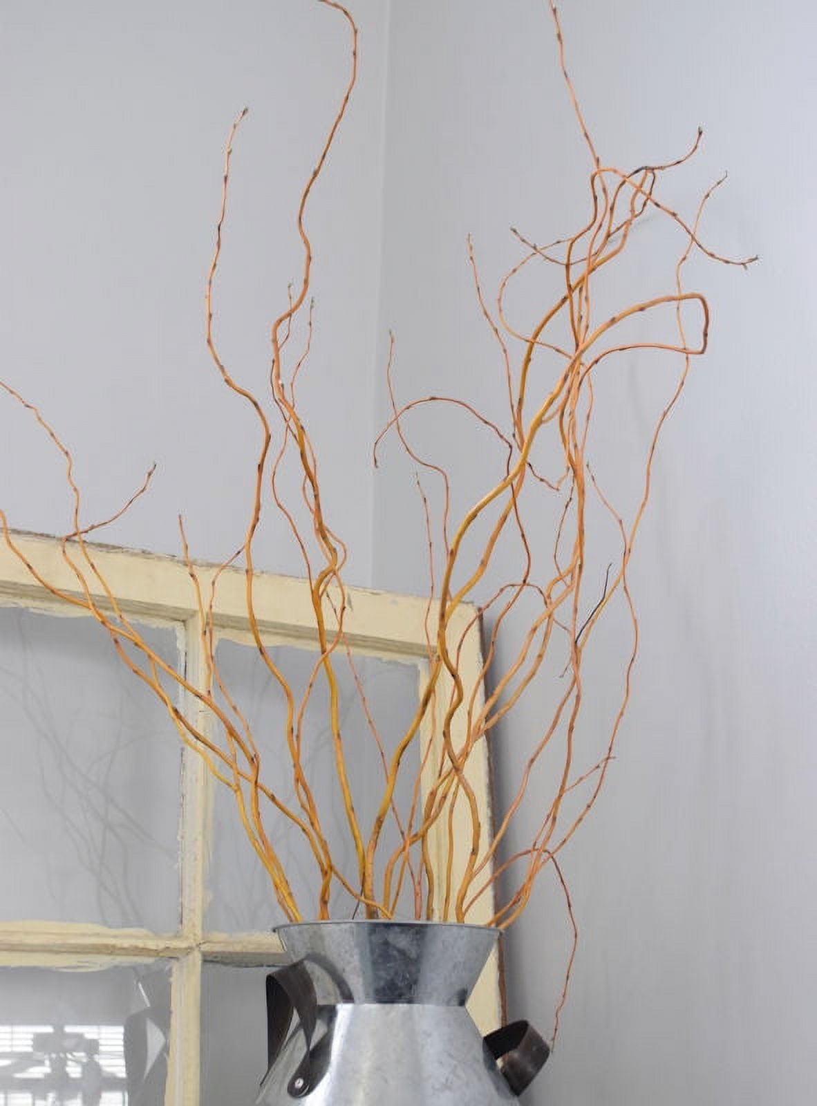 Orange Yellow Curly Willow Branches 4-5FT