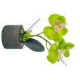 thumbnail image 2 of tredstone Artificial Orchid Flower & Pot Simulation Potted Flower Home Office Table Fake Floral Decor, JH1735, Green, 2 of 7
