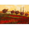 thumbnail image 2 of Borelli, Guido 14x11 White Modern Wood Framed Museum Art Print Titled - Papaveri Toscana II, 2 of 4