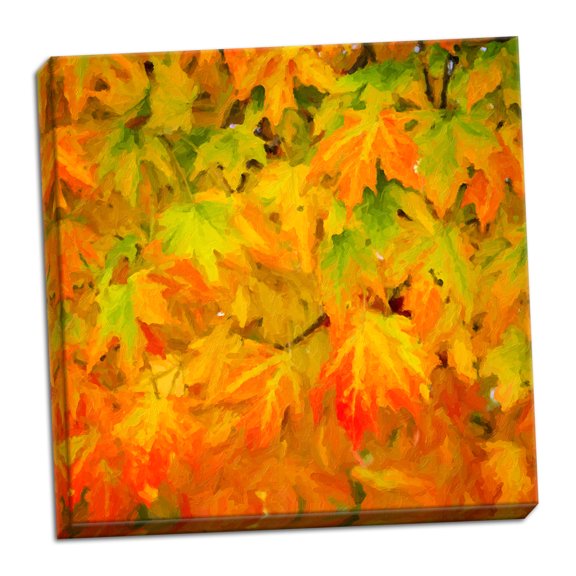 Gango Home Decor Contemporary Autumn Leaves I by Alan Hausenflock (Ready to Hang); One 16x16in Hand-Stretched Canvas