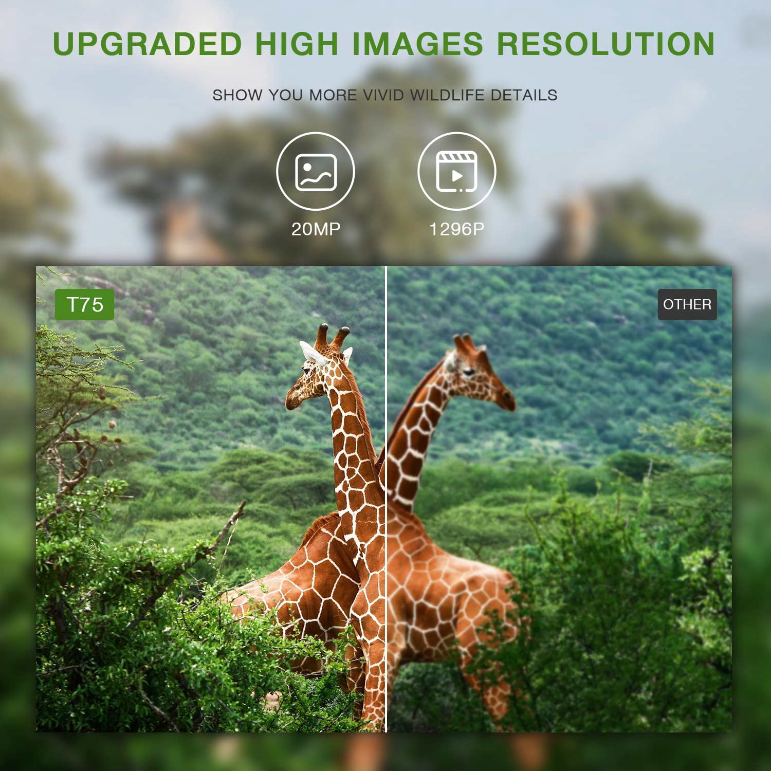CAMPARK Trail Camera WiFi Buletooth 20MP 1296P Game Hunting Camera Infrared Night Vision Waterproof IP66 Motion Activated 2.4" Color TFT LCD Trail Cam for Wildlife Monitor