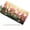 Bunnies in Tulip Field, variant on Cat under Pink Moon Front License Plate, Metal License Plate, Funny Standard Plates Personalized Novelty Decorative For Men/Women/Boys/Girls Car 6×12 Inch