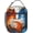 Fox02, variant on Dinosaur Insulated Lunch Box Dinosaur Lunch Box for Work,Picnic,School,Travel,Hiking,Beach or Fishing Dinosaur Theme Lunch Bag