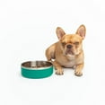 thumbnail image 5 of One Paw, Large Double Stainless Steel Dog Bowl, 2.1L (71 oz), 5 of 5