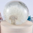 thumbnail image 3 of MOVTOTOP DIY Silicone Mold for Crystal Ball Making Safe Flexible Transparent Perfect for DIY Use 3.15 Inches, 3 of 7