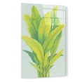 thumbnail image 2 of Epic Art 'Chartreuse Tropical Foliage I' by Tim O'Toole, Acrylic Glass Wall Art, 16"x24", 2 of 3