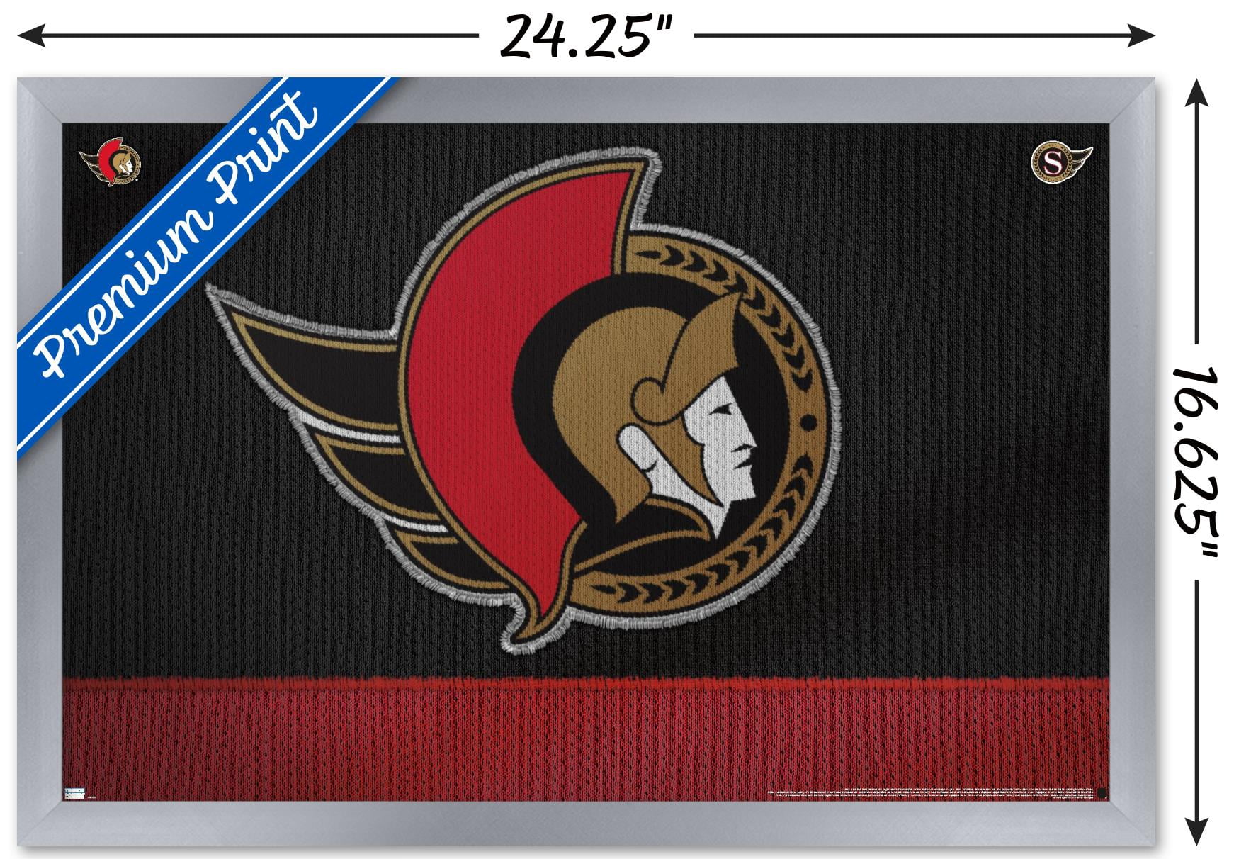 NHL Ottawa Senators - Logo 20 Wall Poster, 14.725" x 22.375", Framed