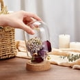 thumbnail image 4 of 1 Pc Glass Display Dome Cloche 3.54x4.92 Inch Cloche Bell Jar Terrarium with Cork Base Decorative Display Dome Case for Plants Flower Christmas Display Decoration Clear, 4 of 6