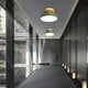 thumbnail image 4 of Lámpara De Pasillo, Luz LED Interior Para Recibidor, Pantalla Acrílica, Cuerpo De Madera Maciza, Hierro Inoxidable, Iluminación Uniforme, Luz Blanca Cálida Suave, 4 of 7