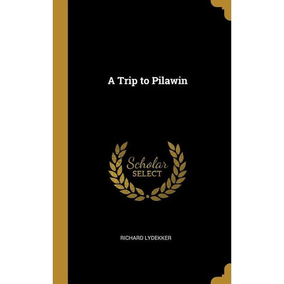 A Trip to Pilawin, (Hardcover)