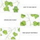 thumbnail image 3 of 12 unids Hiedra artificial Hiedra Vides Fake Ivy Hojas Artificial Ivy Garlands Colgante, 3 of 5