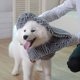 thumbnail image 3 of Toallas de baño para mascotas ultra absorbentes de secado rápido, material de chenilla suave, diseño de bolsillo para las manos para perros y gatos grandes, medianos y pequeños, 3 of 8