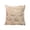 Beige, variant on Halloween Pillow Covers, Pumpkin Throw Pillows, Sequin Cushion Cases,Beige Soft Plush Fabric Shiny Golden Sparkle Pattern,Square Cushion For Sofa Couch Bed Living Room Holiday Decor