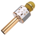 thumbnail image 3 of Handheld Microphone Wireless Portable Mic Speaker for Kids, 3 of 10