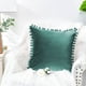 thumbnail image 5 of Dinheiro Funda de Almohada Sólida de Terciopelo Granular Suave de 2 Piezas Adecuada para sofá Dormitorio Coche, 16x16", 5 of 5