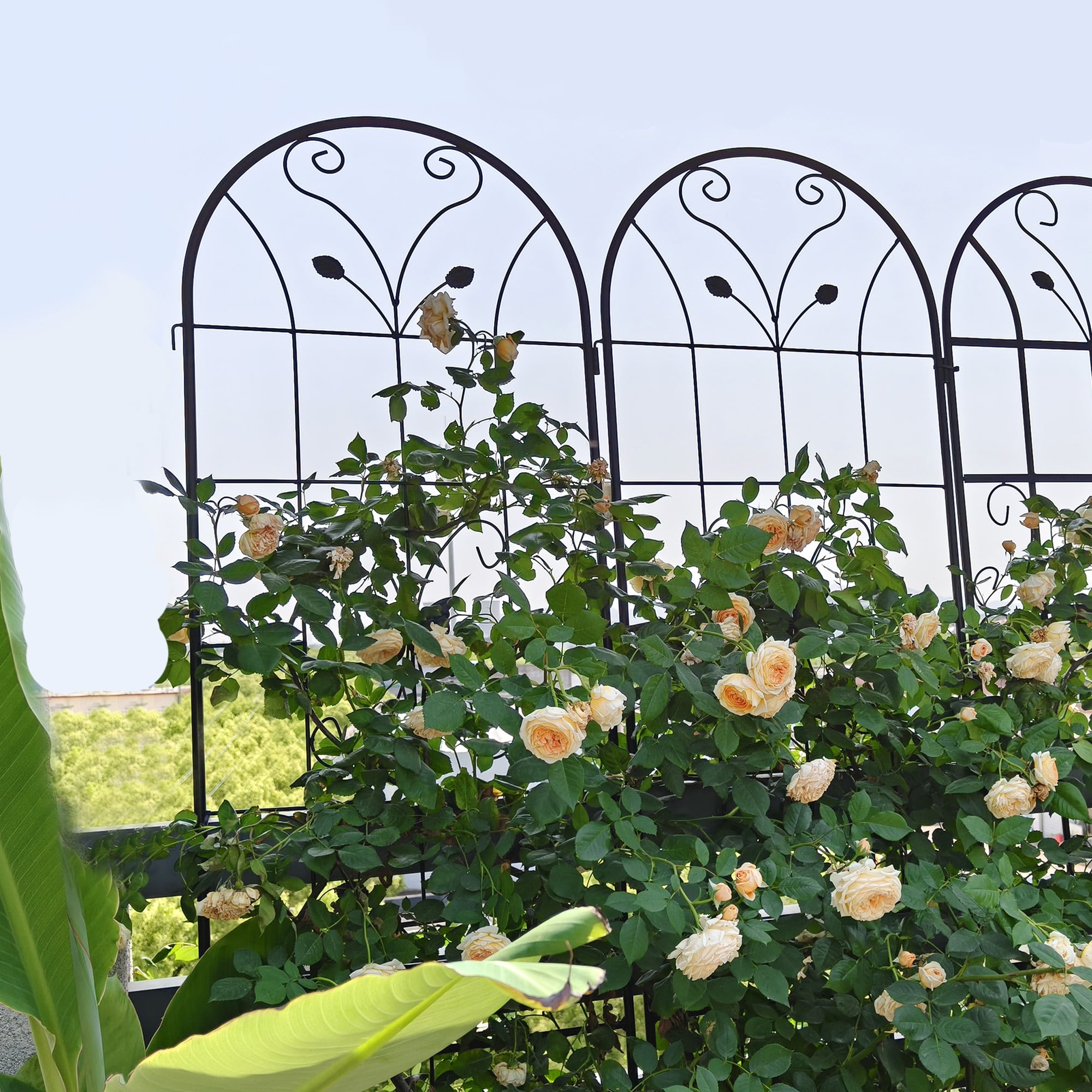 Yoneston 4 Pack Metal Garden Trellis, 86.7"x19.7"Decorative Arched Trellis for Climbing Plants, Metal Coating Anti-Rust and Sturdy for Outdoor, Black