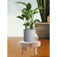 thumbnail image 5 of Small Round Wooden Support For Flowerpot - For Indoor Or Outdoor, 5 of 5