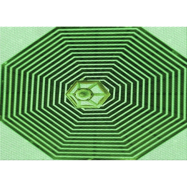 Ahgly Company Tapis d'Intérieur Lavables en Machine Rectangle Transitionnel Vert Émeraude Profond, 5' x 7'