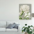 thumbnail image 3 of Trademark Fine Art 'White Peonies II' Canvas Art by Grace Popp, 3 of 4